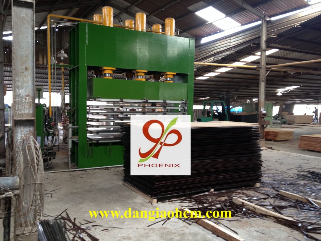 sản xuất ván ép phủ phim